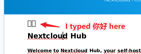 How to add new fonts on Collabora Online - Built-in CODE Server?